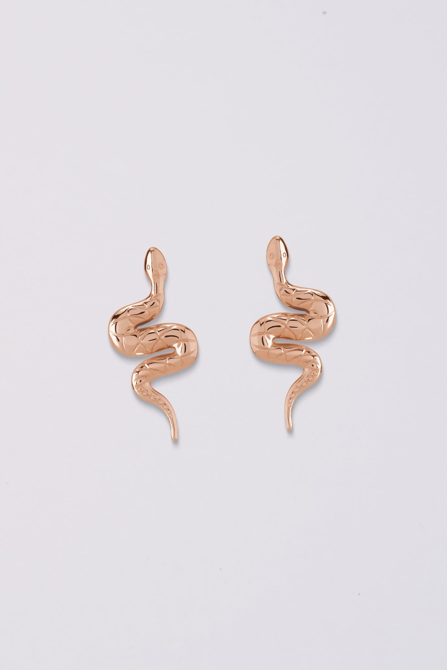 Snake Stud Earrings | 14K Gold